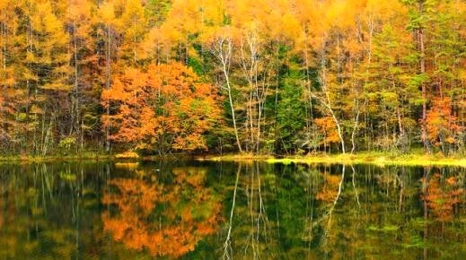 <Web割対象商品>【キングツアーバス旅】信州秋の味覚4種お持ち帰り!奥蓼科紅葉めぐり 御射鹿池&もみじ寺「長円寺」〔新宿・明大前発〕1